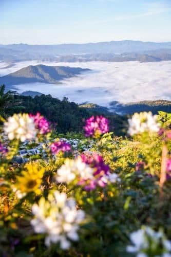 Double Room with Mountain View