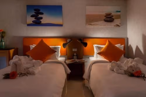 Deluxe Double or Twin Room