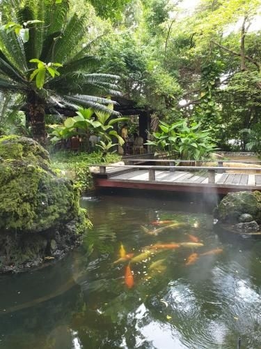 Rose Garden Aged Care โรงแรมสำหรับผู้สูงอายุ (Rose Garden Aged Care)4