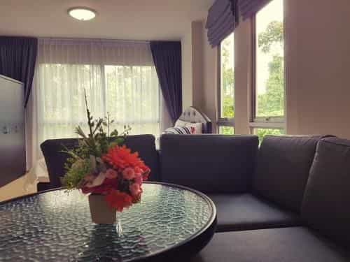 D Condo Kathu-Patong Phuket by Jacky D Condo Kathu-Patong Phuket by Jacky