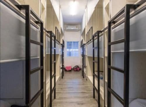 Bunk Bed in Mixed Dormitory Room