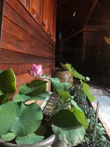 เรือนกระดังงา Kradangnga Lodge เรือนกระดังงา Kradangnga Lodge