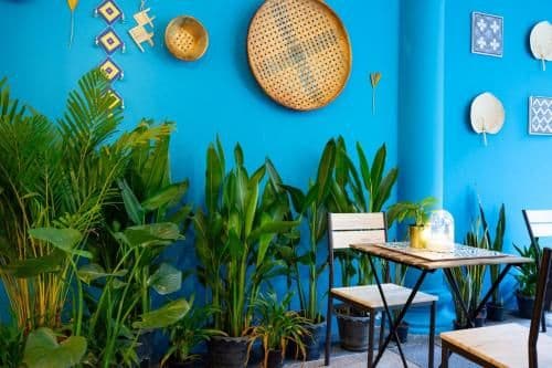 Family Bungalow