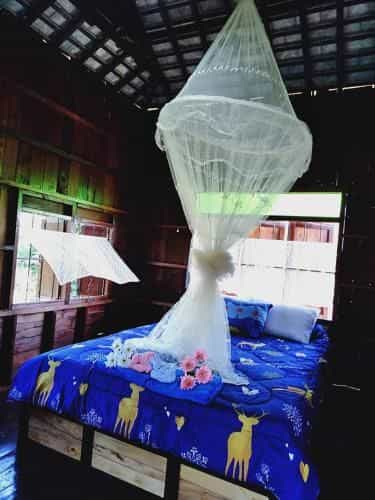Huen Pak Rim Wiang Thakan Huen Pak Rim Wiang Thakan
