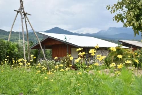 Hinpha Homestay0