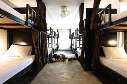 Bed in 8-Bed Mixed Dormitory Room