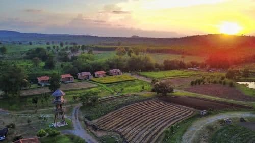 COOLLiving Farmhouse Organic COOLLiving Farmhouse Organic