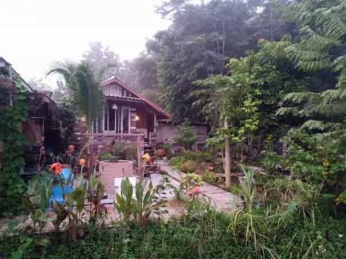 บ้านยางนา Baan Yang Na Relax Zone Nan บ้านยางนา Baan Yang Na Relax Zone Nan