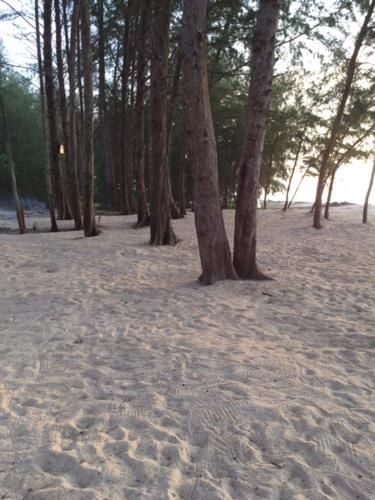 Kho Khao River Sand Eco Resort on the Beach1