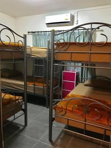 Bunk Bed in Mixed Dormitory Room