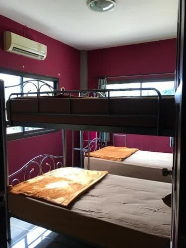 Bunk Bed in Mixed Dormitory Room