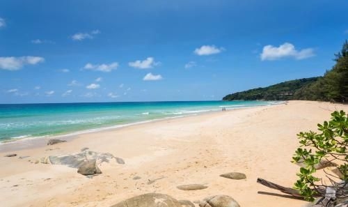 Beachfront Pearl of Naithon by Indreams4