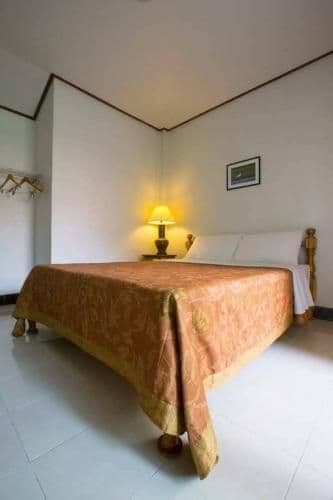 Single Room with Garden View