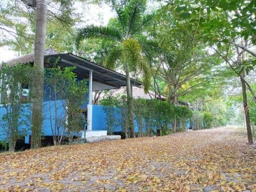 Single Room with Garden View