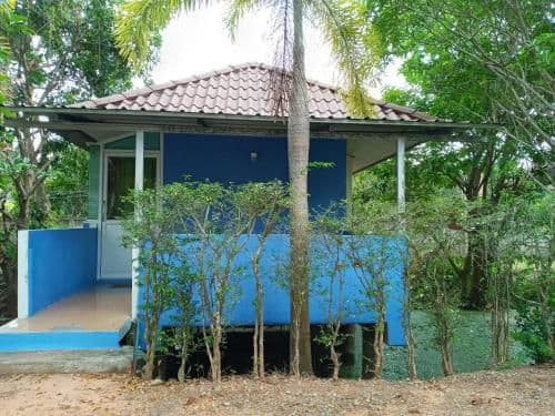 Single Room with Garden View