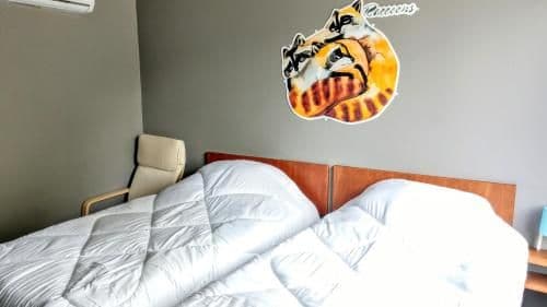 Standard Twin Room