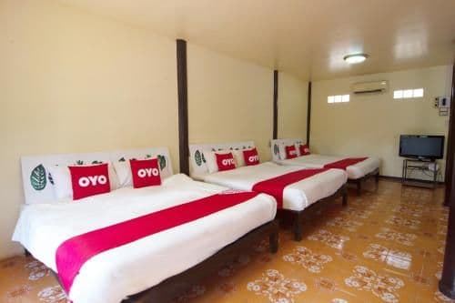 Bunk Bed in Mixed Dormitory Room