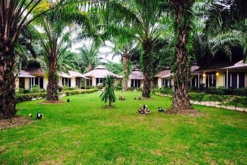 Double or Twin Room with Garden View