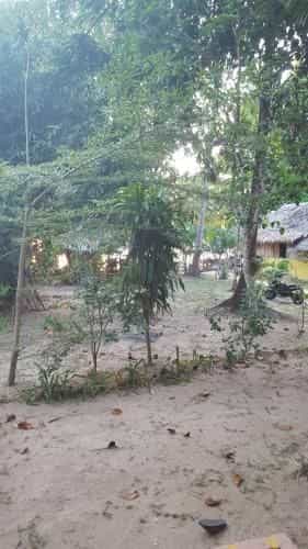 Baan suan kayoo2 บ้านสวนกาหยู2 Baan suan kayoo2 บ้านสวนกาหยู2