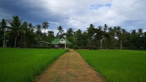 บ้านทุ่งนาของปั้นหยาโฮมสเตย์ (Baan Thungna Khong Punya Homestay)0