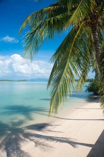Villa - Beach Front
