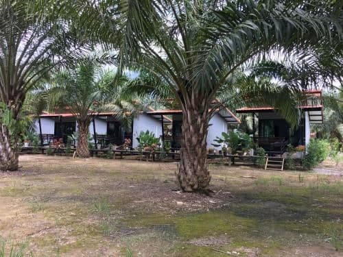 Double Room with Balcony - Air Conditioning