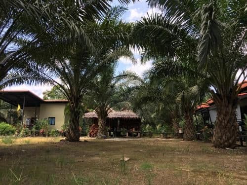 Double Room with Balcony - Air Conditioning
