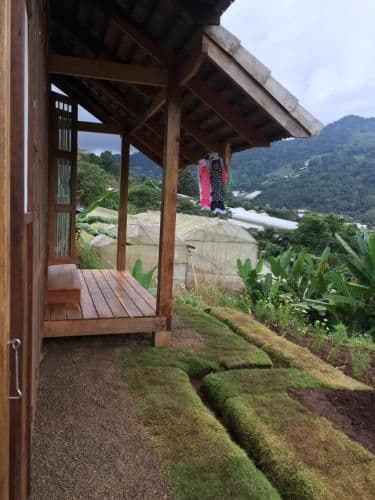Double Room with Mountain View