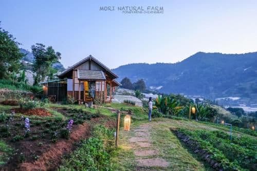 Double Room with Mountain View