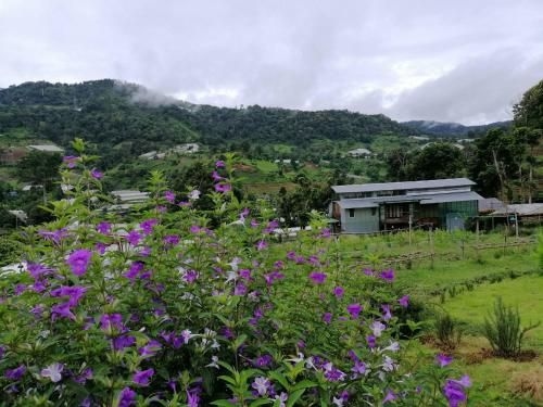 Mori Natural Farm4