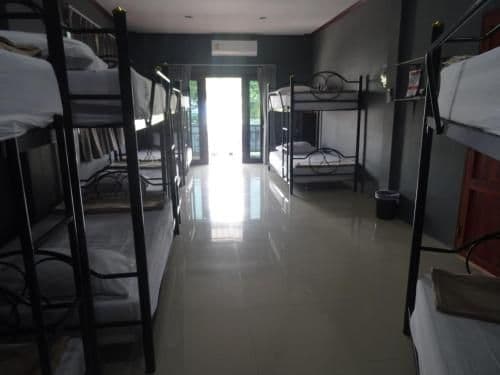 Bunk Bed in Mixed Dormitory Room