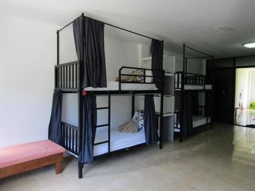 Bunk Bed in Mixed Dormitory Room