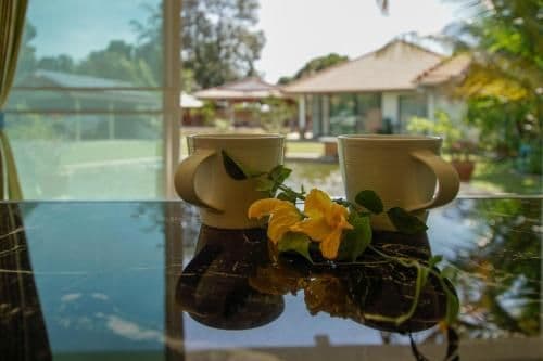 Villa with Garden View