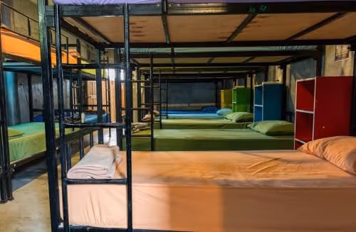 Single Bed in Mixed Dormitory Room