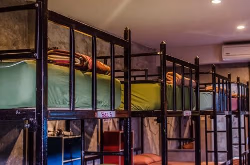 Single Bed in Mixed Dormitory Room