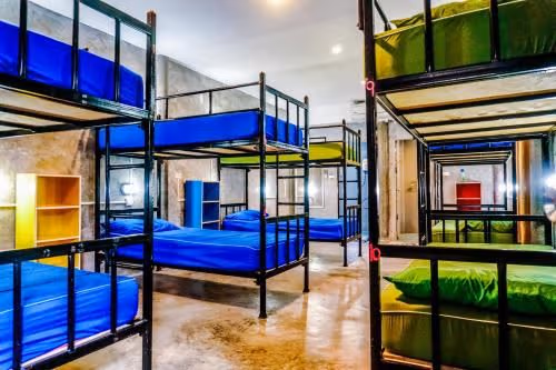 Single Bed in Mixed Dormitory Room