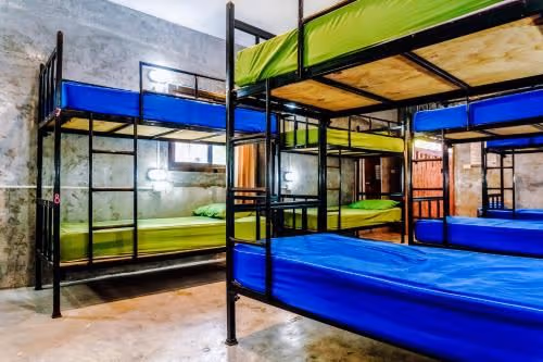 Single Bed in Mixed Dormitory Room
