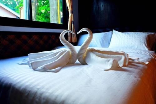 Lipe Hostel0