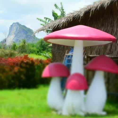Phacharee Guest House Bangsaray Phacharee Guest House Bangsaray