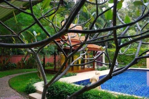 One-Bedroom Villa