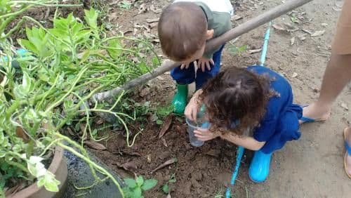 Karenorganicfarm Karenorganicfarm