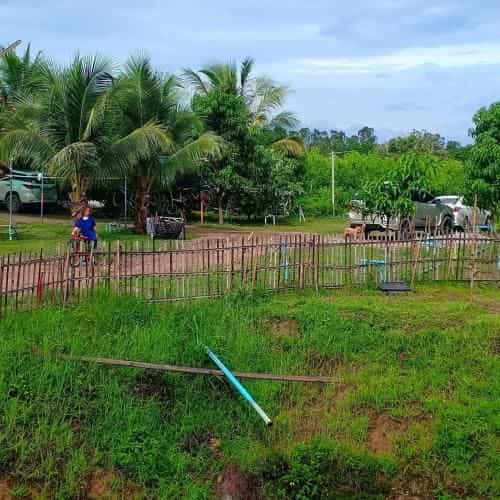 Karenorganicfarm Karenorganicfarm