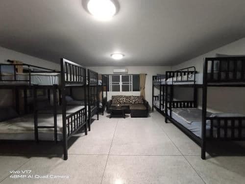 Bunk Bed in Mixed Dormitory Room