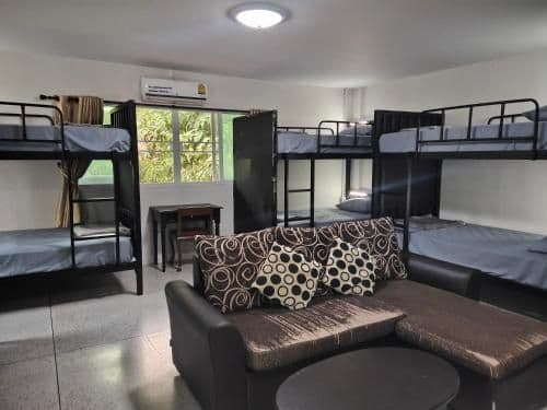Bunk Bed in Mixed Dormitory Room