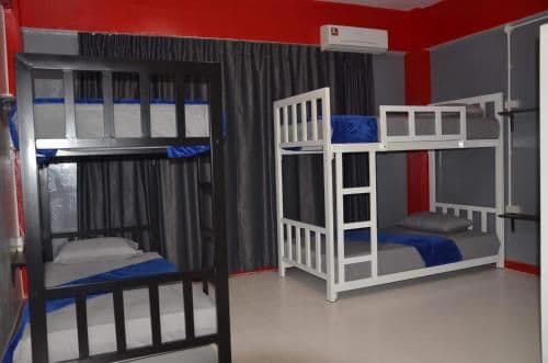 Bed in 6-Bed Dormitory Room