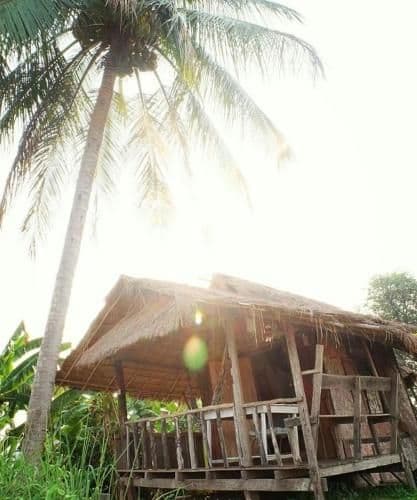 Standard Bungalow with Fan