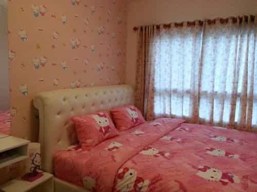 The Trust Hua Hin kitty room The Trust Hua Hin kitty room