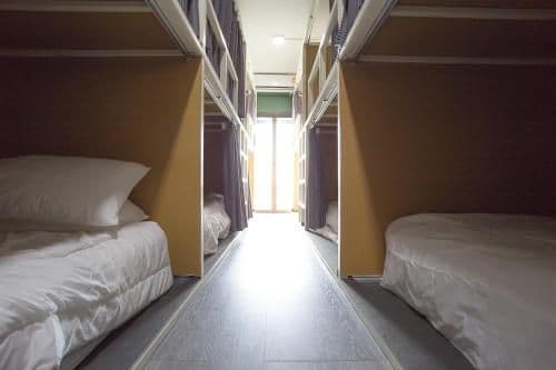 Bunk Bed in Mixed Dormitory Room
