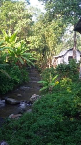 Bungalow - Water Front