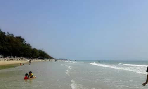 Thai Paradise South 255/2 Thai Paradise South 255/2
